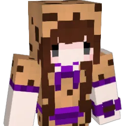 Dns_LAP Minecraft avatar bust