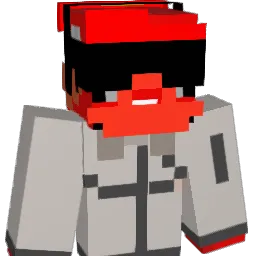 Dnsedd