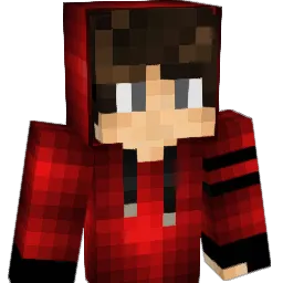 Dnvn91 Minecraft avatar bust