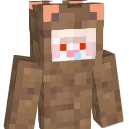 DoDoDoMing Minecraft avatar bust