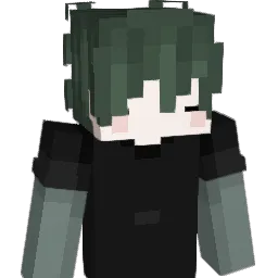 DoDohy30n Minecraft avatar bust