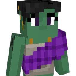 DoMiSoVT Minecraft avatar bust