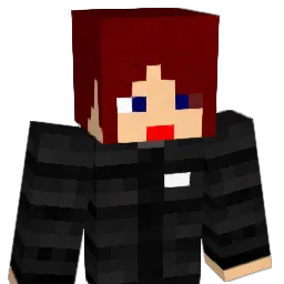 DoMino_15 Minecraft avatar bust