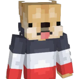 Do_Ki Minecraft avatar bust