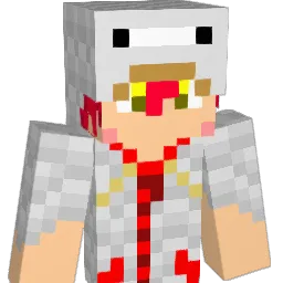 Do__ Minecraft avatar bust