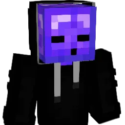 DocSnipz
