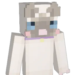 DoctorZzoMD Minecraft avatar bust