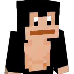 Doge9924 Minecraft avatar bust