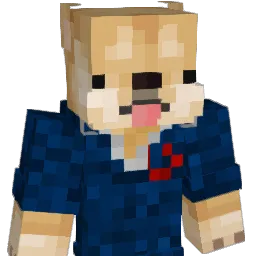 DogeKnowz Minecraft avatar bust