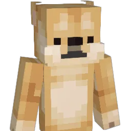 DogeTheMLGnoob Minecraft avatar bust