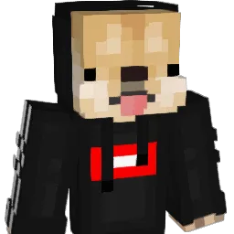Doge_king24 Minecraft avatar bust