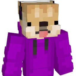 Doge_polska Minecraft avatar bust