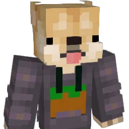DoggoDoctor's Minecraft skin