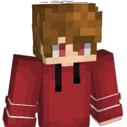 DoggoHS2007 Minecraft avatar bust