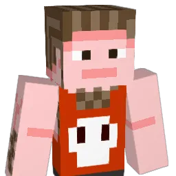 Dohjoe Minecraft avatar bust