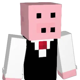 Dokdo_Korean Minecraft avatar bust