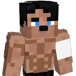 Doktorbrynjar Minecraft avatar bust