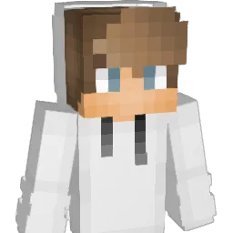 Dolfinator79 Minecraft avatar bust