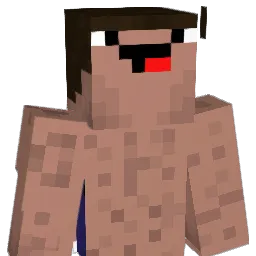 DolphinKing2012 Minecraft avatar bust
