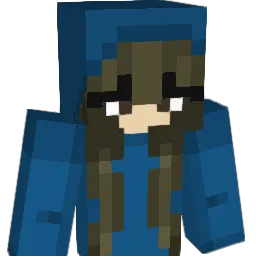 DolphinWhirl Minecraft avatar bust