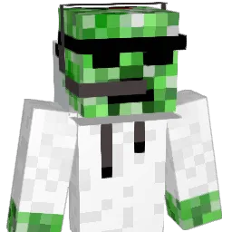 Dolphinsr1 Minecraft avatar bust