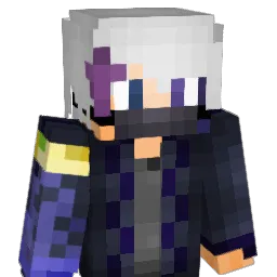 Dom1noz_ Minecraft avatar bust