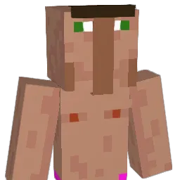 DomDom_1 Minecraft avatar bust