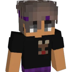 Domeyy Minecraft avatar bust