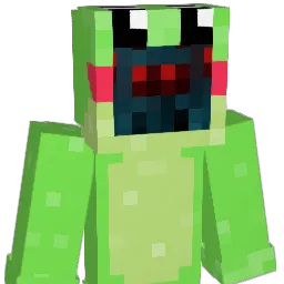 Domi111225 Minecraft avatar bust