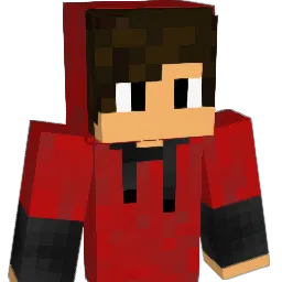 Domi8899 Minecraft avatar bust