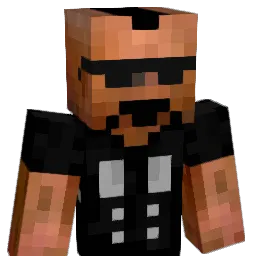 Domi_Wl Minecraft avatar bust