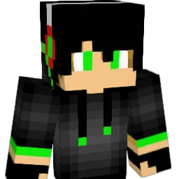 Domicrafter04 Minecraft avatar bust