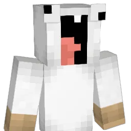 DominicJFirenze Minecraft avatar bust
