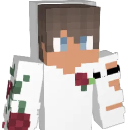 Dominik15 Minecraft avatar bust