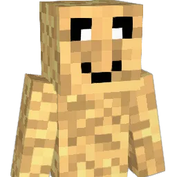 Dominik2308 Minecraft avatar bust