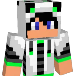 Dominik747 Minecraft avatar bust
