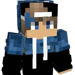 Dominik_W05 Minecraft avatar bust