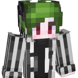 DominoVoid Minecraft avatar bust
