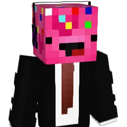 Domownik_17 Minecraft avatar bust