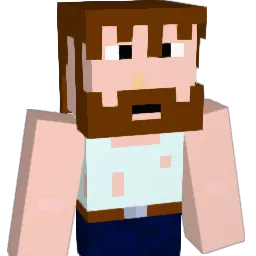 DonHult Minecraft avatar bust