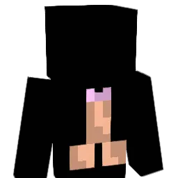 DonJoacoTM Minecraft avatar bust