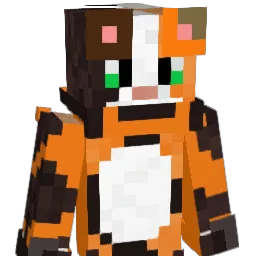 DonMisifu Minecraft avatar bust