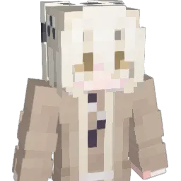 DonQuixote2008 Minecraft avatar bust
