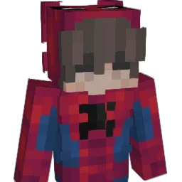 DonTok1o Minecraft avatar bust