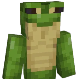 DonTonberry7 Minecraft avatar bust