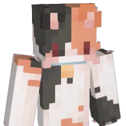 DonWarrior