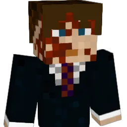 Don__MC Minecraft avatar bust
