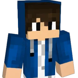 Donald_Duck_1 Minecraft avatar bust