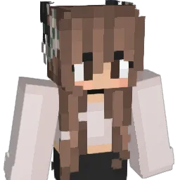 Dondoc0 Minecraft avatar bust