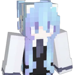 DongDong6330 Minecraft avatar bust